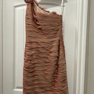 Women's Formal Dress/shoes